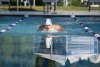 Coquitlam Sharks Time Trials Practice