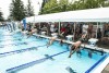 2024 Coquitlam Sharks in the Park