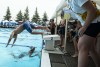 2024 Coquitlam Sharks in the Park