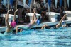 Coquitlam Sharks Simon Fraser Regionals 2024 - Saturday