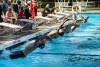 Coquitlam Sharks June Jamboree, 2021 - Day Two